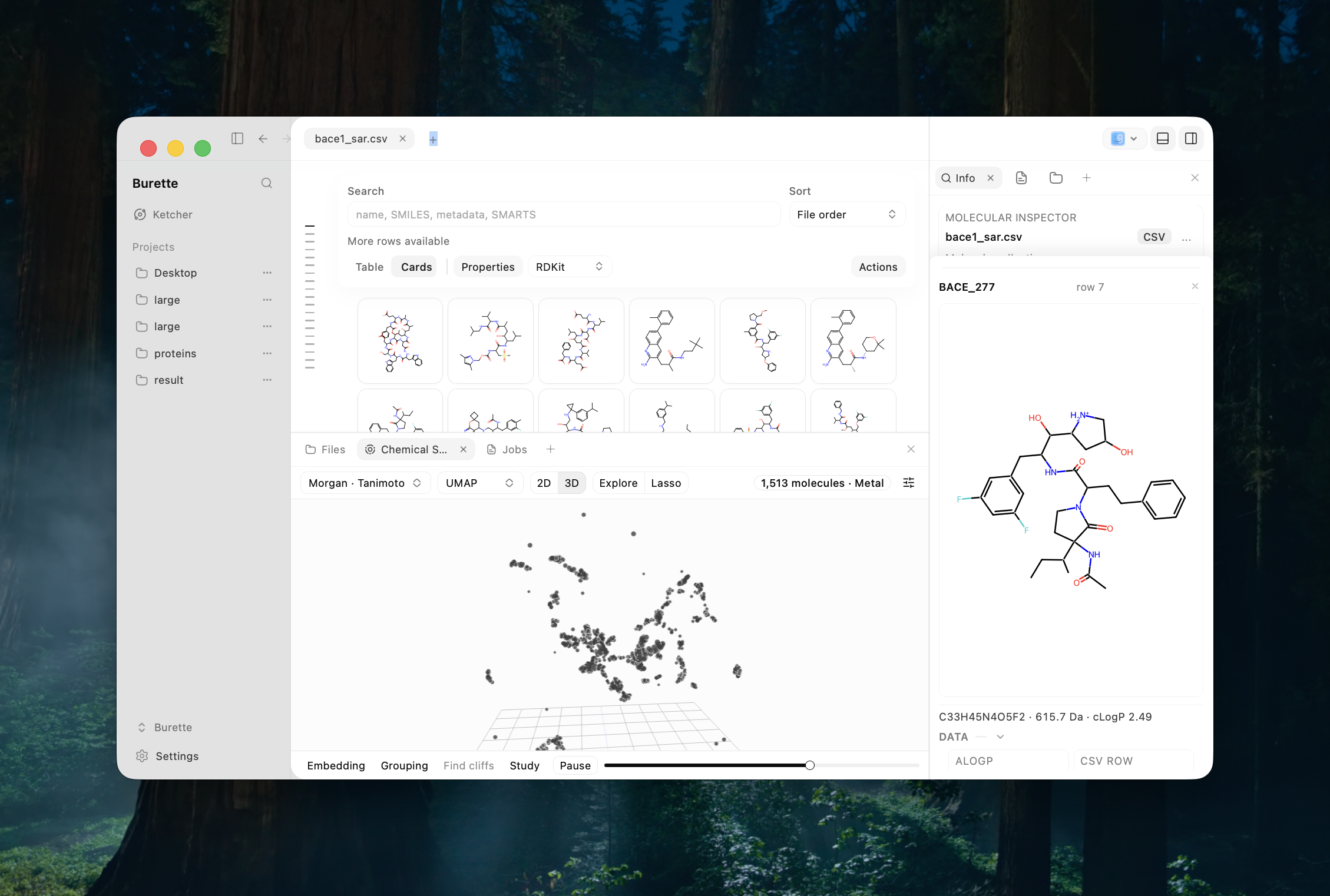Burette on the desktop with a molecule card grid, the Chemical Space panel showing a 3D UMAP of 1,513 molecules computed with Metal, and the molecular inspector open on one hit
